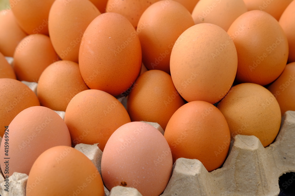 close up egg on wood table background close up egg on wood table background