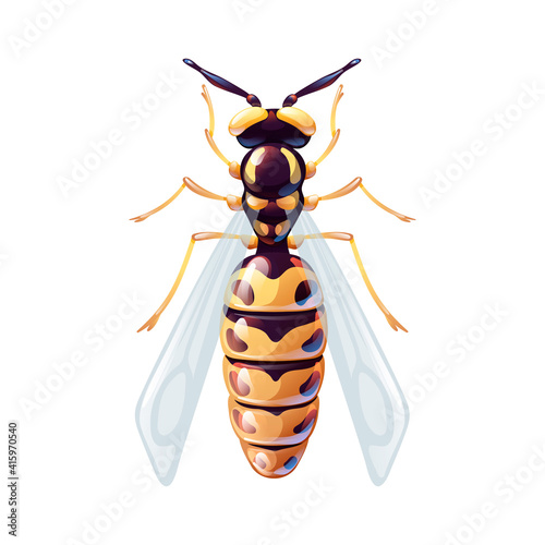 Macro of a wasp. Yellow and black flying insect.