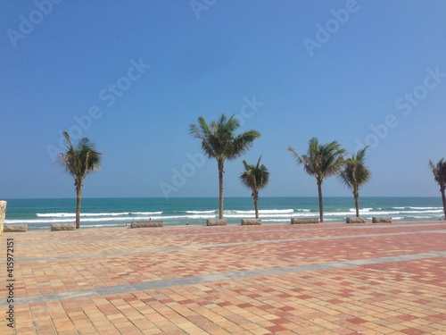 Palm trees on the beach, My Khe Beach, Da Nang, Vietnam