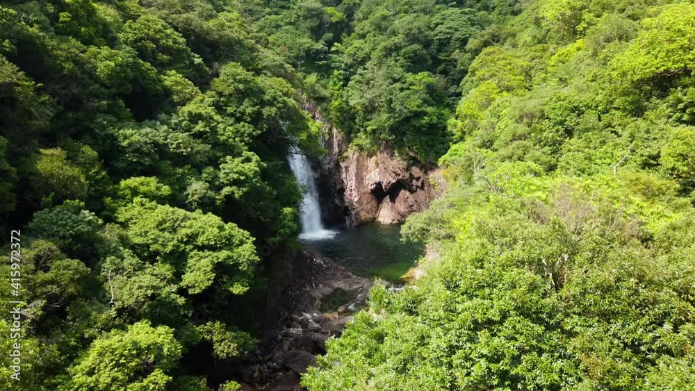 屋久島 竜神の滝 屋久杉 国立公園 鹿児島 屋久島 竜神の滝 屋久杉 国立公園 鹿児島