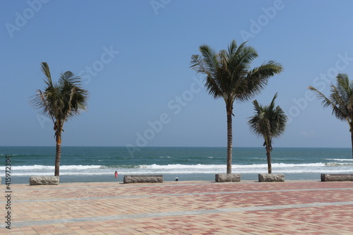 Palm trees on the beach, My Khe Beach, Da Nang, Vietnam