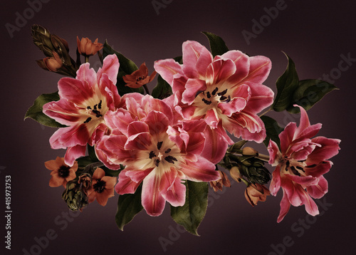 Pink tulips and ornithogalu...