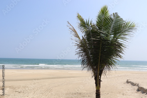 Palm trees on the beach, My Khe Beach, Da Nang, Vietnam