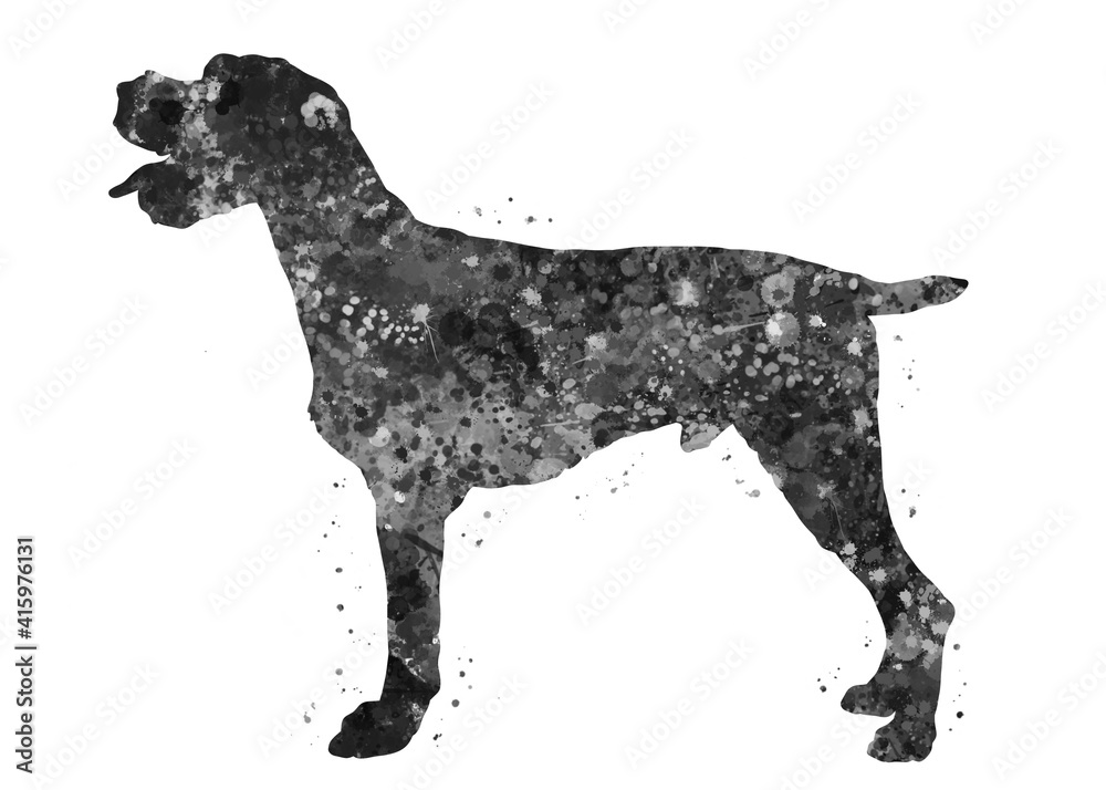 German Wirehaired Pointer Dog black and white watercolor, abstract painting. Watercolor illustration rainbow, colorful, decoration wall art.