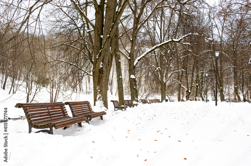 Beautiful park in winter after snowfall with trees, old street lamps and benches covered by snow, winter landscape 