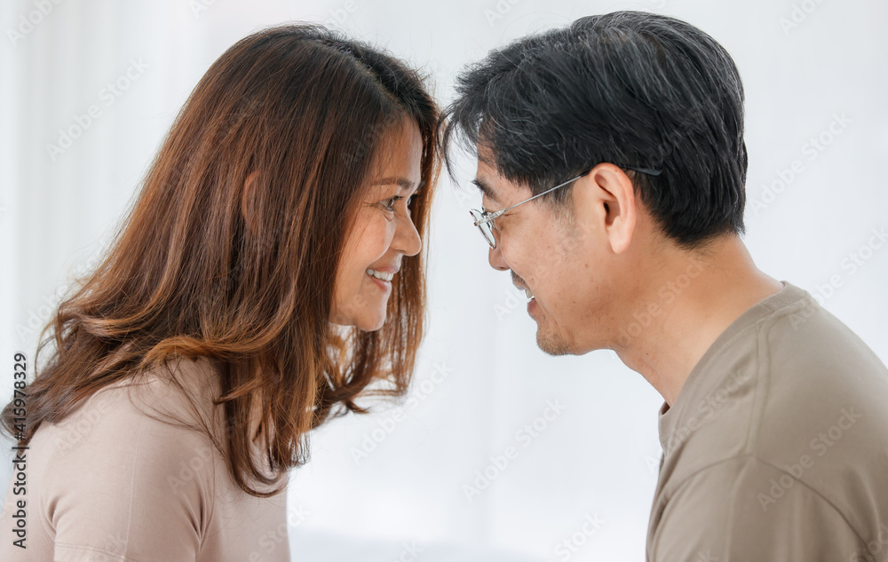 Close-up portrait shot of cute smiling middle-aged Asian lover couple wearing eyeglasses looking at each other eyes with passion while sitting at home. Concept of love on Saint Valentine's Day. Close-up portrait shot of cute smiling middle-aged Asian lover couple wearing eyeglasses looking at each other eyes with passion while sitting at home. Concept of love on Saint Valentine's Day.