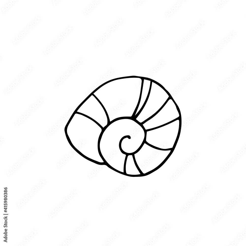 Seashell. Vector hand-drawn doodle illustration. Black and white outline. Coloring for children.
