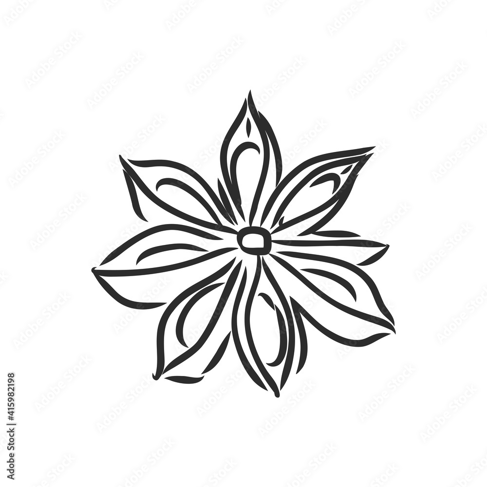 Vector line drawing handmade star anise isolated on white background. sketches of spices Vector line drawing handmade star anise isolated on white background. sketches of spices