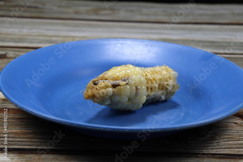 Selective focus, Worm in the corn cob on the plate.  photo