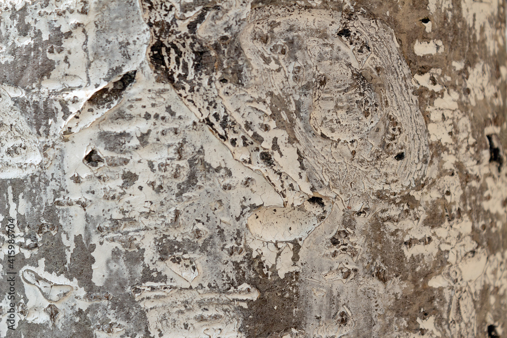 Obraz premium stone wall texture