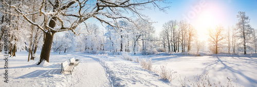 Panorama of beautiful winter park