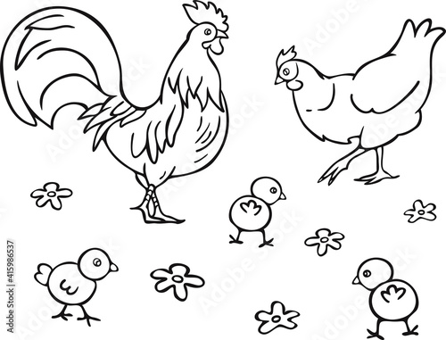 Vector illustration of rooster, brood hen, chicks and abstract blooming flowers on meadow. Design for coloring book.