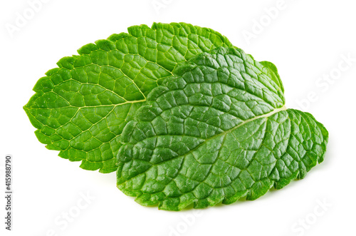 Mint leaf isolated. Fresh mint leaves on white background.