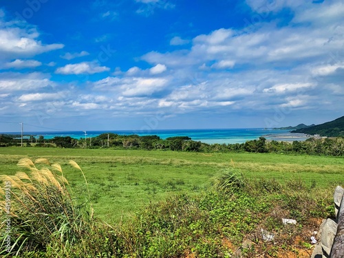 沖縄の美しい空と海とさとうきび畑の風景
