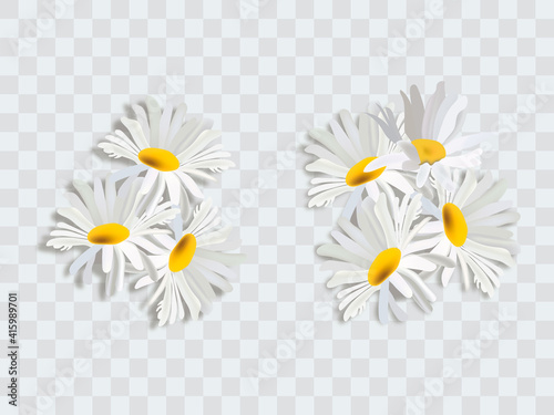Bouquet realistic daisy, camomile flowers. Seasonal sales