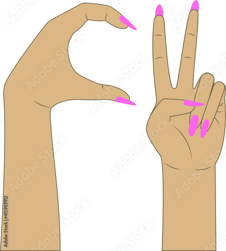 vector of female hands. flat image of two hands with different gestures. hand gestures