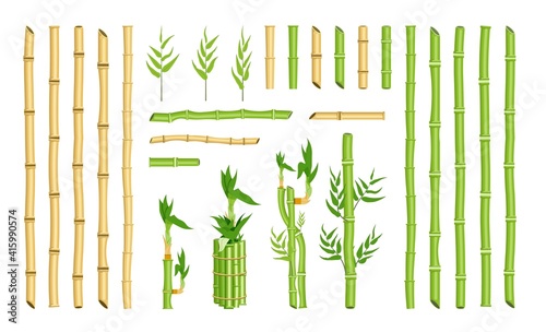 Straight curved bamboo stick stem border frame element set. Single stick and bundle, green hollow cane leaf, ecological rainforest greenery for design vector illustration isolated on white background © studioworkstock