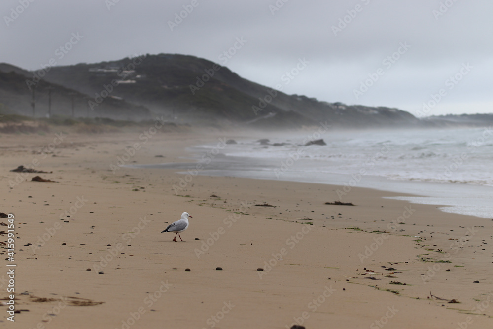 footprints on the sand