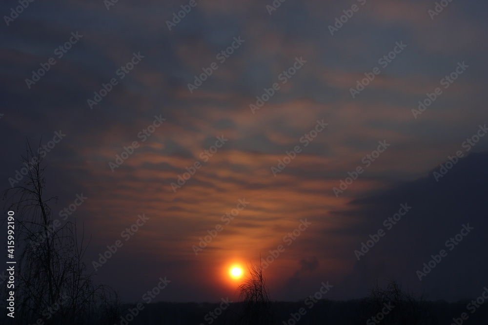 Fototapeta premium the rising sun on the horizon with colored wavy clouds