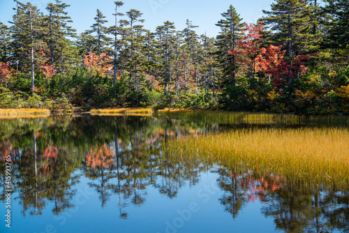 Outono em Hokkaido.