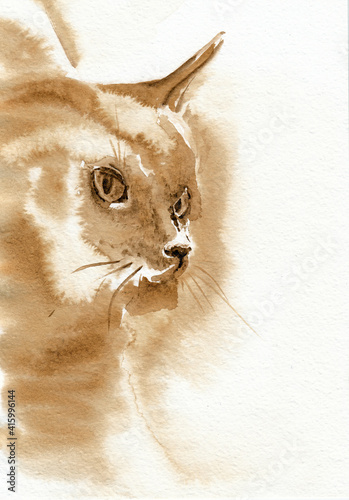 Cats closeup artwork portrait. Coffee hand drawn on watercolor paper
