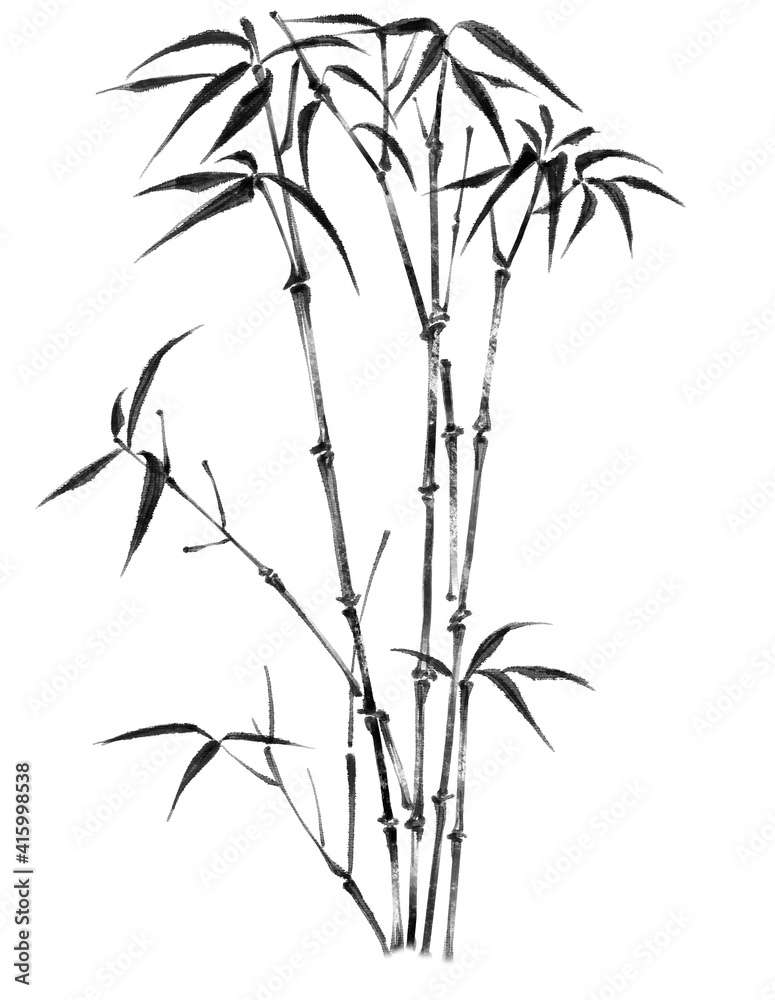 Fototapeta premium Digital illustration of bamboo, black and white.