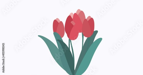 Five red tulips animation for greetings