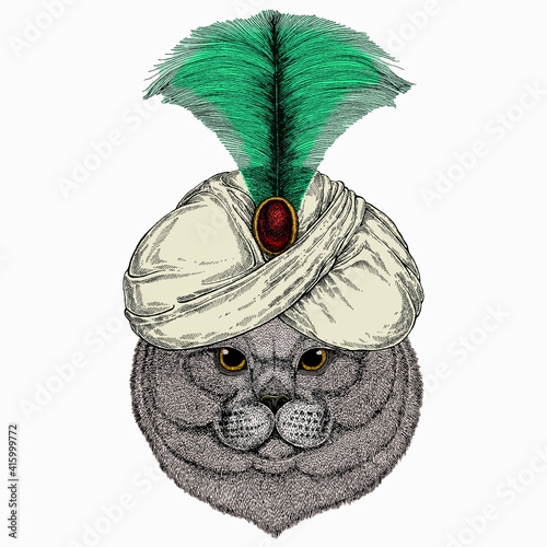 British shorthair cat animal cute face. Animal and wizard hat. Sorcerer and magican
