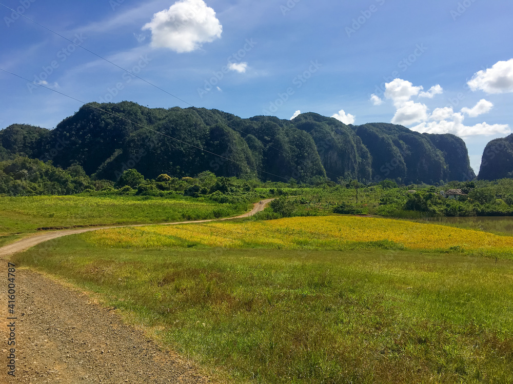 Landscape of the characteristic mountains of Viñales, in the Cuban province of Pinar del Río, with a green meadow with patches of yellow flowers on a blue sky day with some white clouds