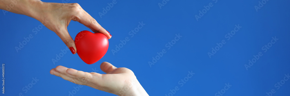 Female hand give red heart to male hand on blue background close-up. Professional diagnosis and treatment of heart disease. Heart transplant surgery. Operation on heart in professional cardiology