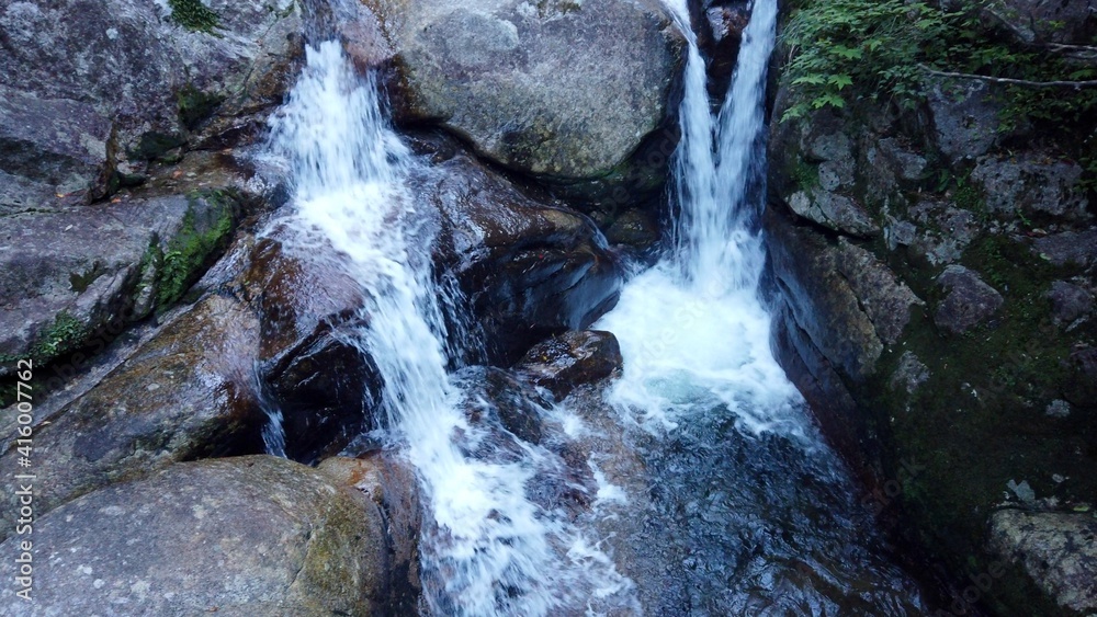 屋久島 屋久杉 縄文杉トレッキング 国立公園 鹿児島 屋久島 屋久杉 縄文杉トレッキング 国立公園 鹿児島
