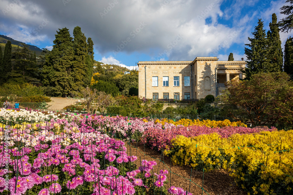 Yalta, Crimea, November 25, 2020, walk through the Nikitsky Botanical Garden, views of trees, flowers, palm trees Yalta, Crimea, November 25, 2020, walk through the Nikitsky Botanical Garden, views of trees, flowers, palm trees