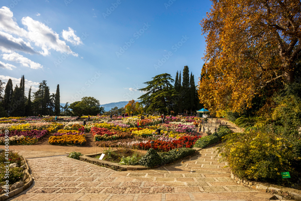 Obraz premium Yalta, Crimea, November 25, 2020, walk through the Nikitsky Botanical Garden, views of trees, flowers, palm trees