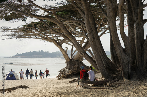 People on a beach sitting in the shade of cypress trees and looking out at the water photo