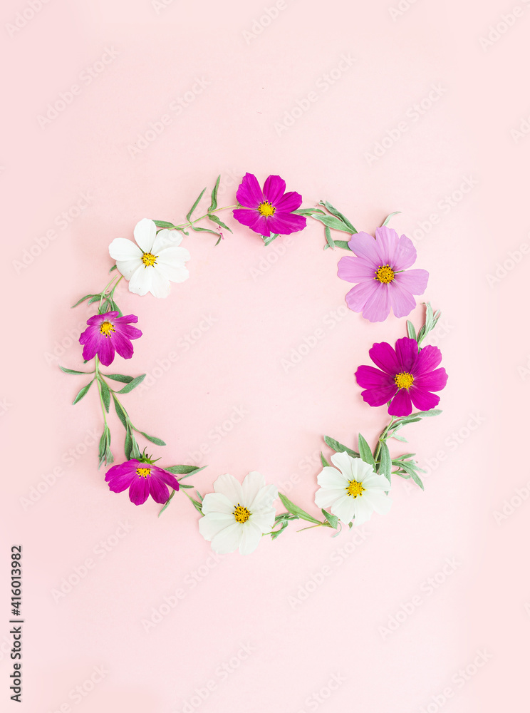 Composition from summer flowers. Kosmey flowers on pastel pink background. Composition from summer flowers. Kosmey flowers on pastel pink background.