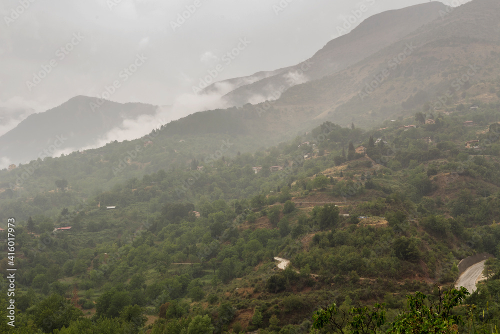 Fog in the mountains (Greece, Peloponnese).