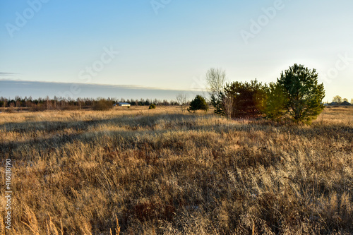 first snow in the field at sunset