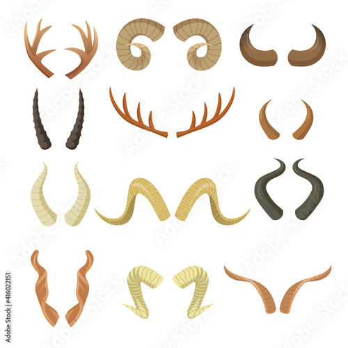 Various horns set. Pairs of antlers, ram, reindeer, moose, cow, deer, antelope, stag horny parts isolated on white. Vector illustration for animals, wildlife, hunting trophy, decoration concept