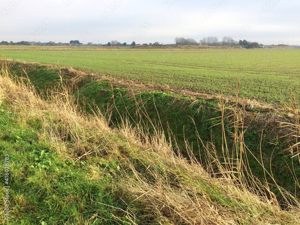 Fen drain in agricultural field. Open blue sky with clouds. Winter landscape. Europe UK East Lincolnshire Mablethorpe. Fen drain in agricultural field. Open blue sky with clouds. Winter landscape. Europe UK East Lincolnshire Mablethorpe.