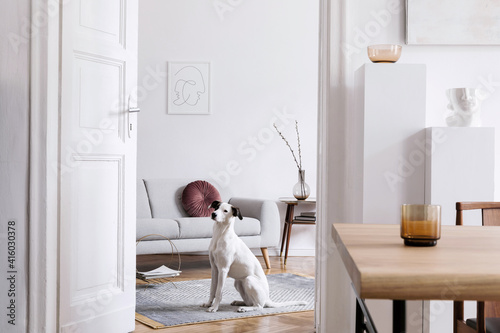 Stylish scandinavian interior of living room with design wooden table, chairs, grey sofa, decoration, personal accessories and beautiful dog in elegant home decor. photo