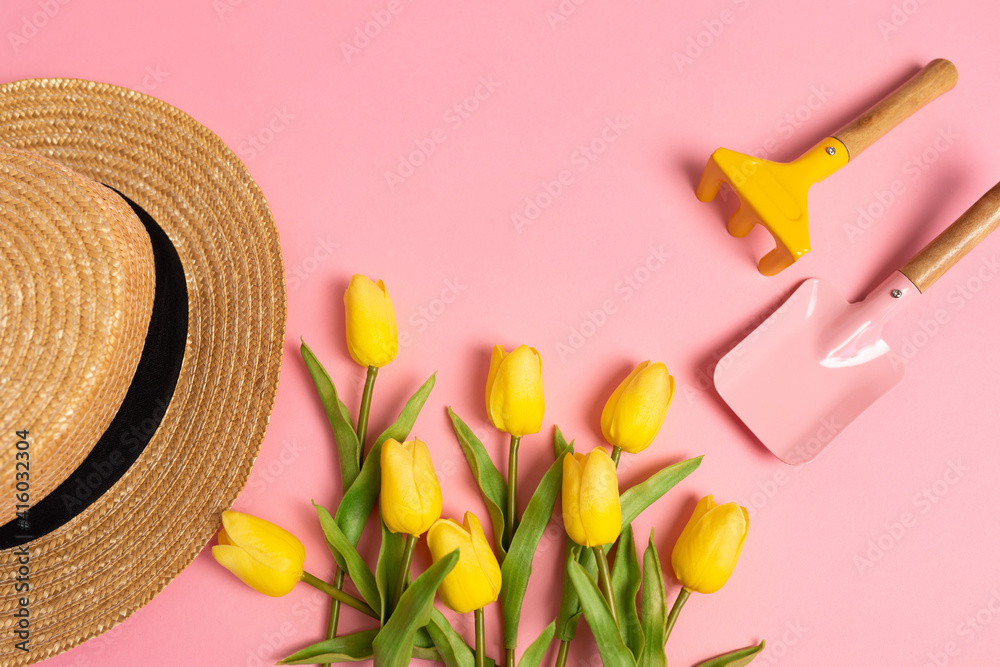 Garden equipment with yellow tulips and straw hat on pink background. View from above. Copy space. Gardening Spring Summer Concept