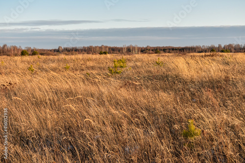 beautiful field in Russia in autumn