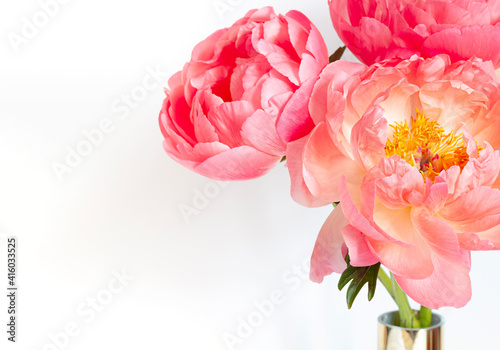 Fototapeta Naklejka Na Ścianę i Meble -  A bouquet of fresh beautiful coral peonies close up on the white background. Copy space