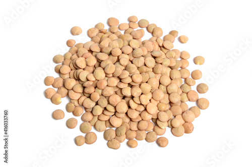 Green lentils seed or Lens culinaris or Lens esculenta. Isolated on white