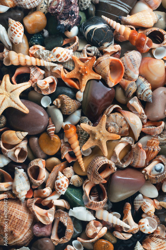 Mix of wet seashells and stones. 