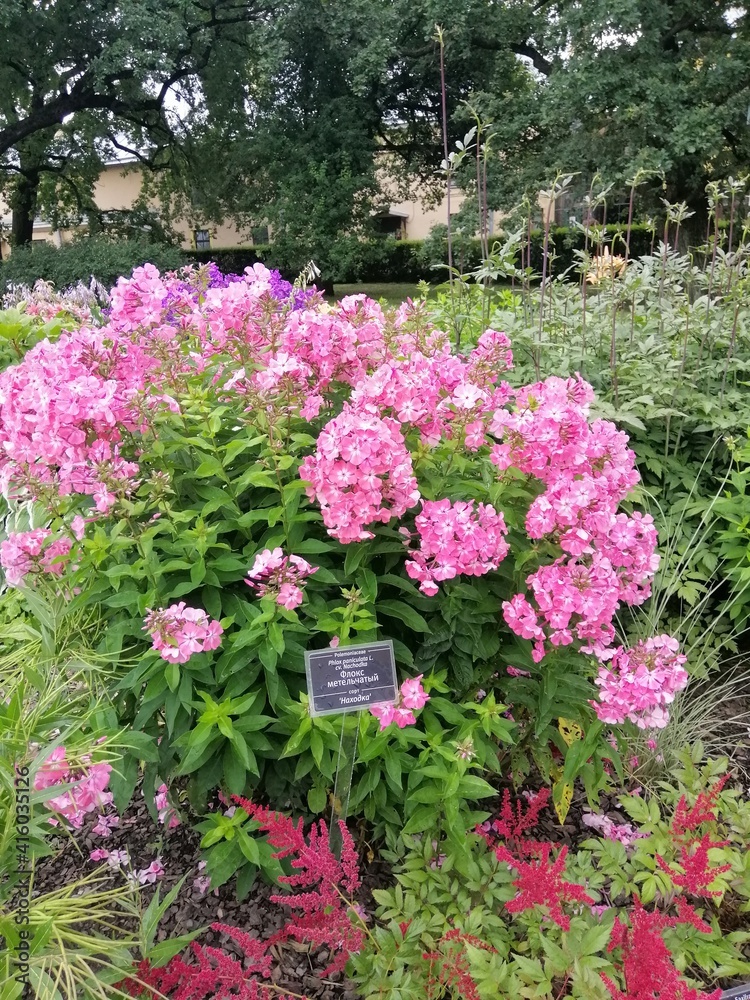 a large flowerbed or mix border of blooming flowers with metal signs with the names 