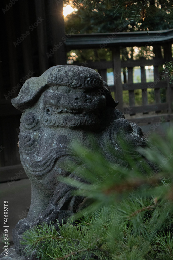 Obraz premium 松の木と狛犬