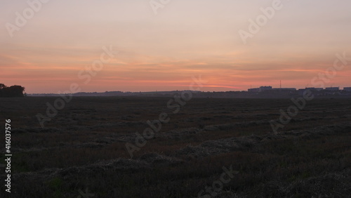Sunset over the field