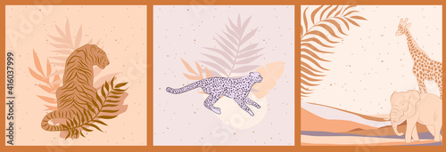 Photography Collection of square background with African wild animals, plants, leaves, abstract landscape and shape