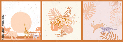 Collection of square background with African wild animals, plants, leaves, abstract landscape and shape. Editable vector illustration